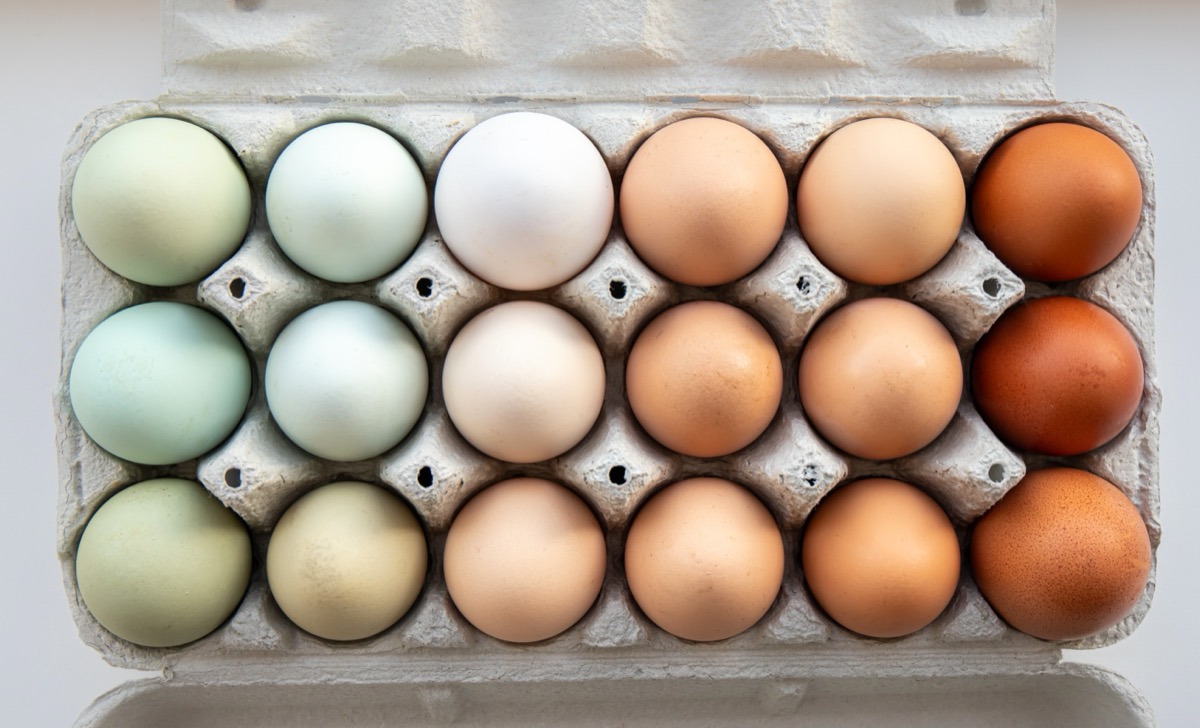 Lot,Of,Different,Color,Chicken,Eggs,Arranged,By,Color,On