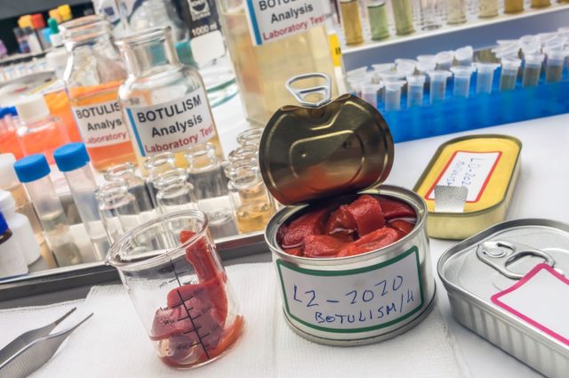 Experienced laboratory scientist analyzes red peppers from a canned food can to analyze botulism infection in sick people, conceptual image