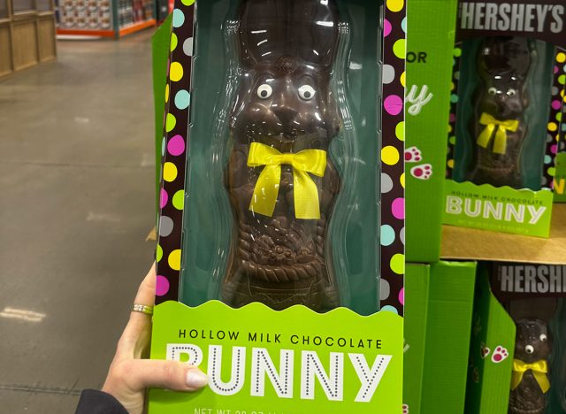 Hershey's Hollow Milk Chocolate Bunny