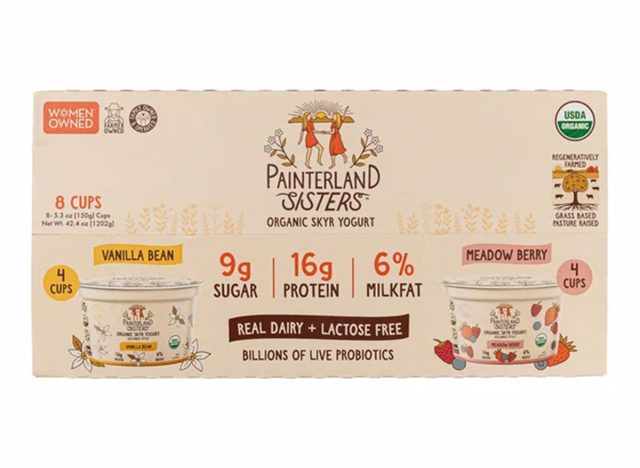 Painterland Sisters Skyr Yogurt