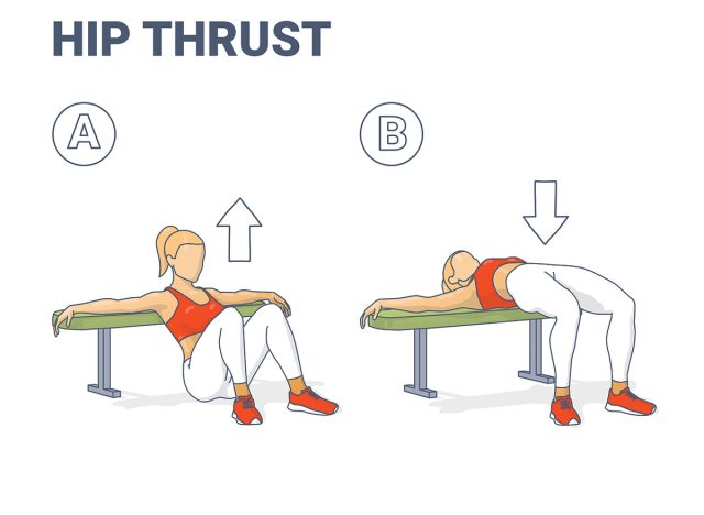 Hip Thrust 