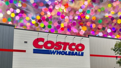 11 Best New Costco Finds