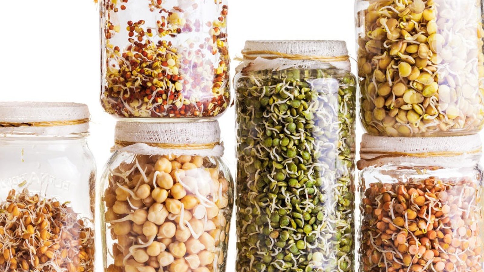 Sprouted Foods, Benefits, and How to Sprout Food | Eat This Not That